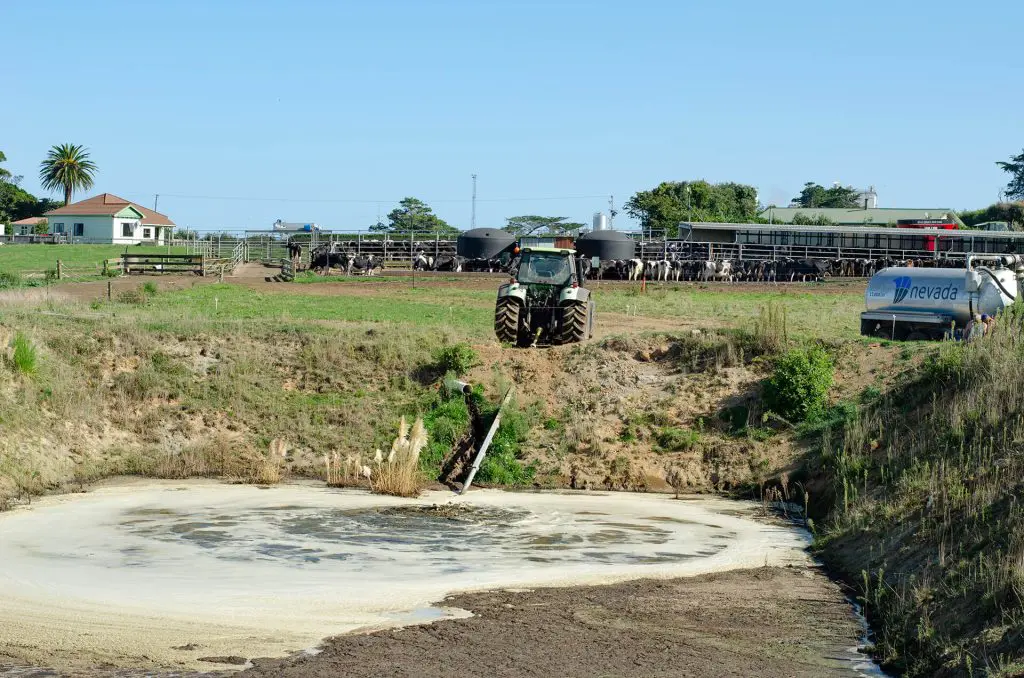 Joe’s Enthusiasm for Nevada Slurry Tankers Shows 1 Clay lined effluent pond being stirred with a Nevada PTO stirrer, and a Slurry Tanker Filling from the pond, infront of the cow shed