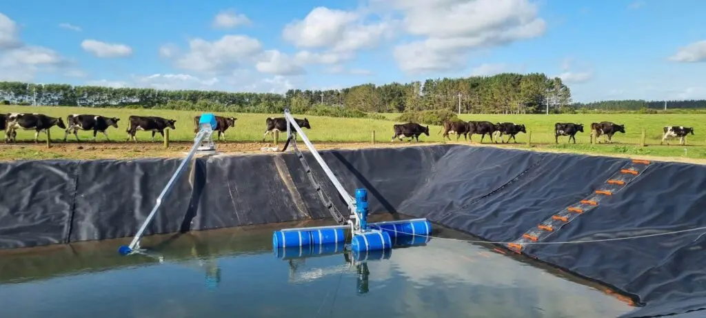 Opinion: What if NZ Milked More, Not Less? 1 Nevada PondBoom in pond with cows walking passed
