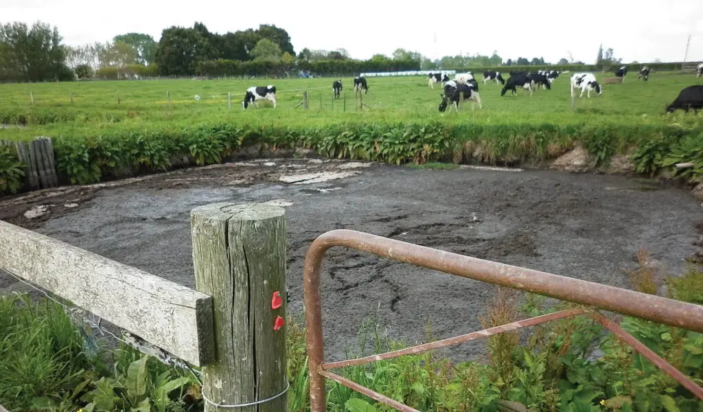 How to Maximise the Value of Your Effluent Pond Nutrients 1 Nevada crusted pond