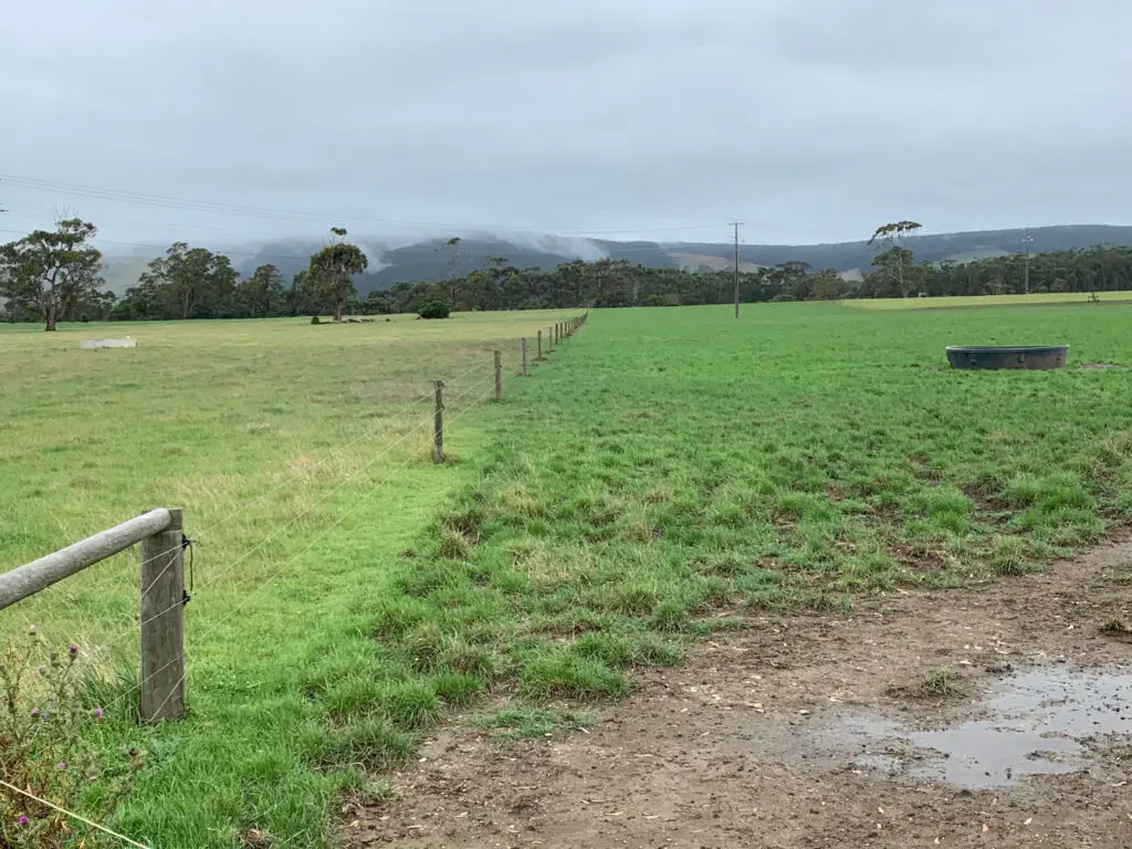 Ian and his son Matthew caused a stir in South Gippsland 2 Ian Conn Farm shed