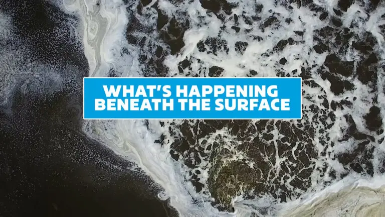 Nevada Tawa Beneath the Surface Thumbnail
