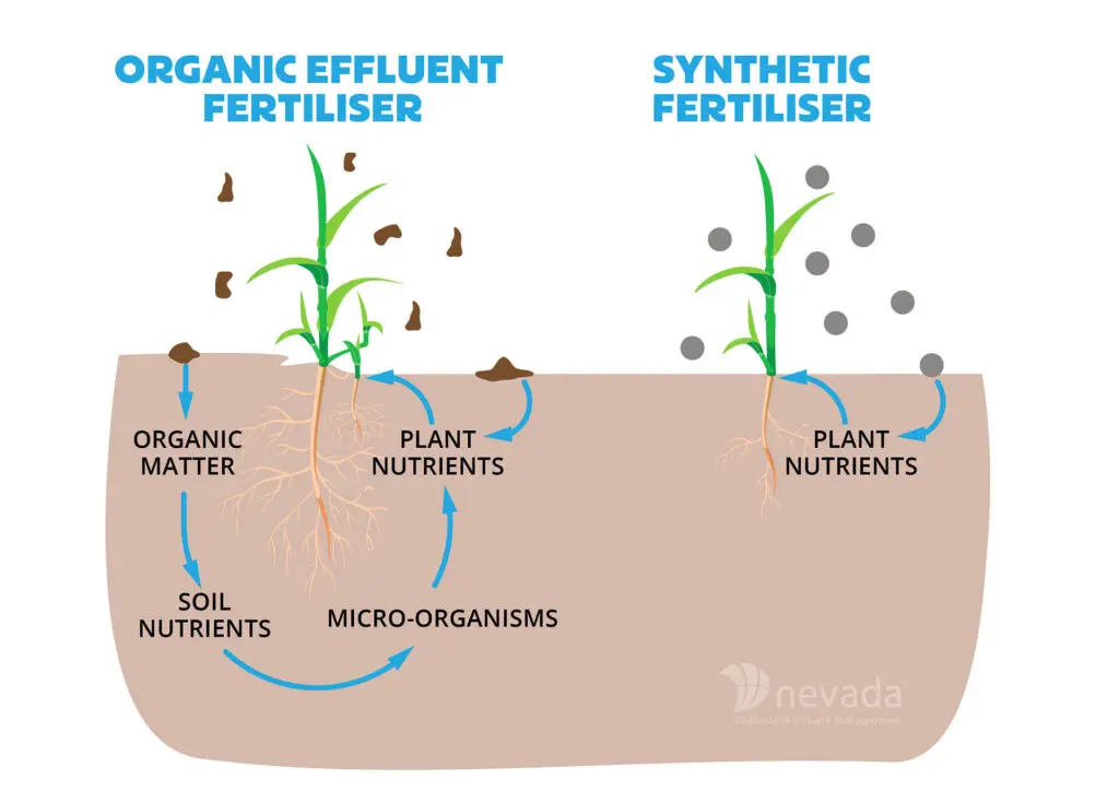 How Do I Get the Most Value Out of My Dairy Effluent? 3 Organic v Synthetic Fertiliser