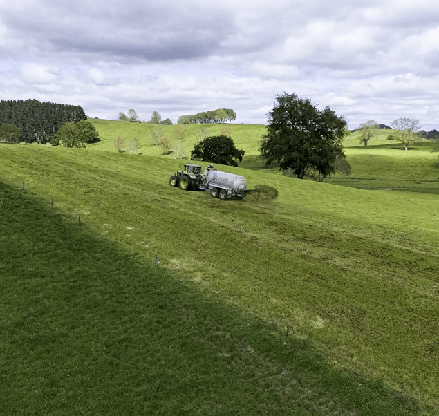 Fabian Pereira farms in the heart of the Waikato 3 image 3