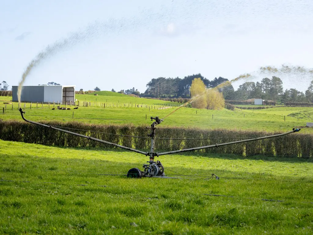 Greenback-Magnum-Irrigator-Spreading