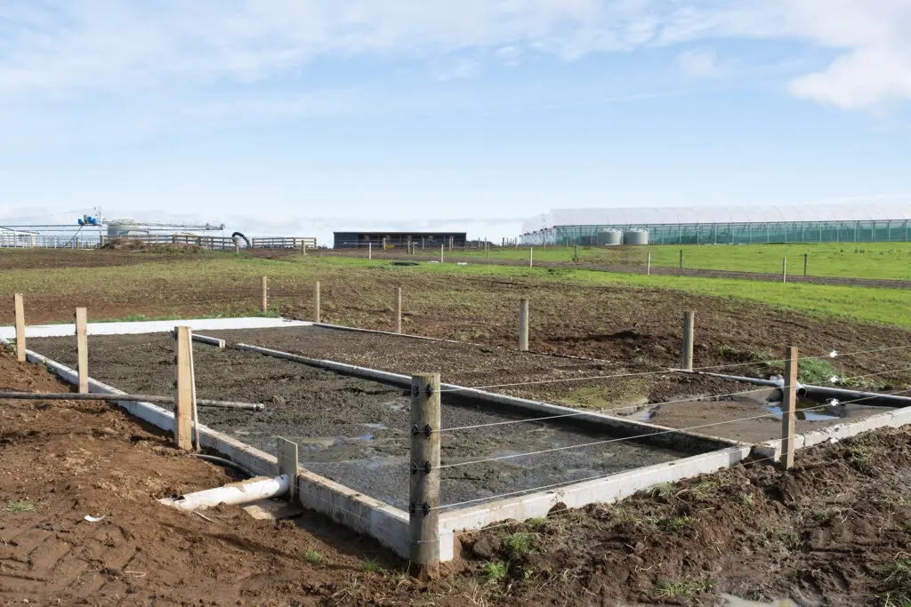 Best Practices for Managing Effluent 4 Stone trap