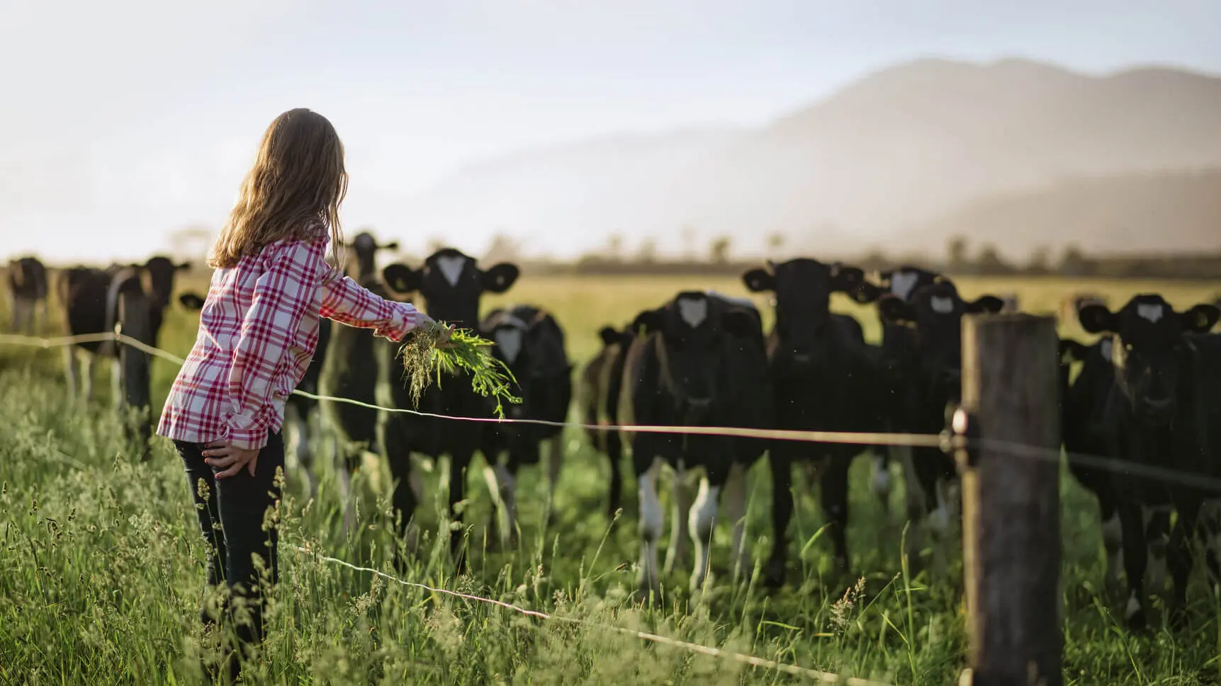 How to Choose the Right Size Effluent Bladder Tank 1 Girl feeding dairy cows