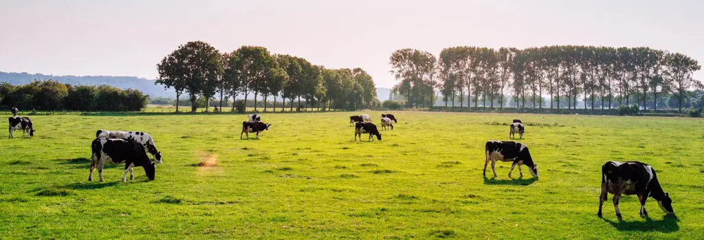 nevada hero accreditations