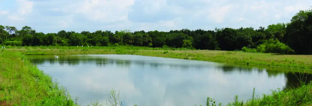 PondBugs™ Are A Win For Jason! 4 Healthy effluent Pond