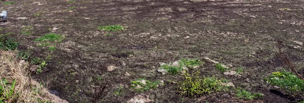 Ricky's Pond Crust Gets Obliterated! 4 Crusted Effluent Pond