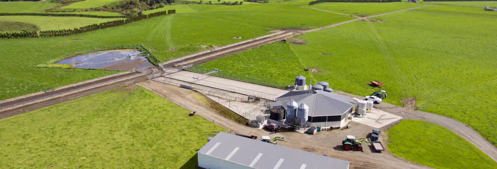 Planning a New Cow Shed? 7 Nevada Dairy Farm Shed with feed pad