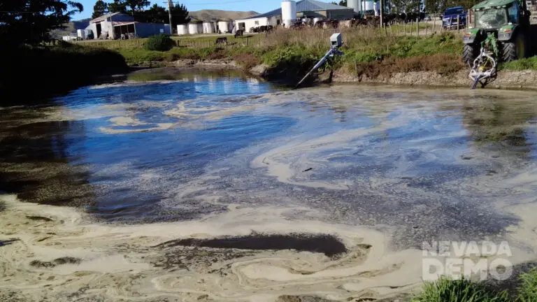 Nevada PTO Stirrer in Pond