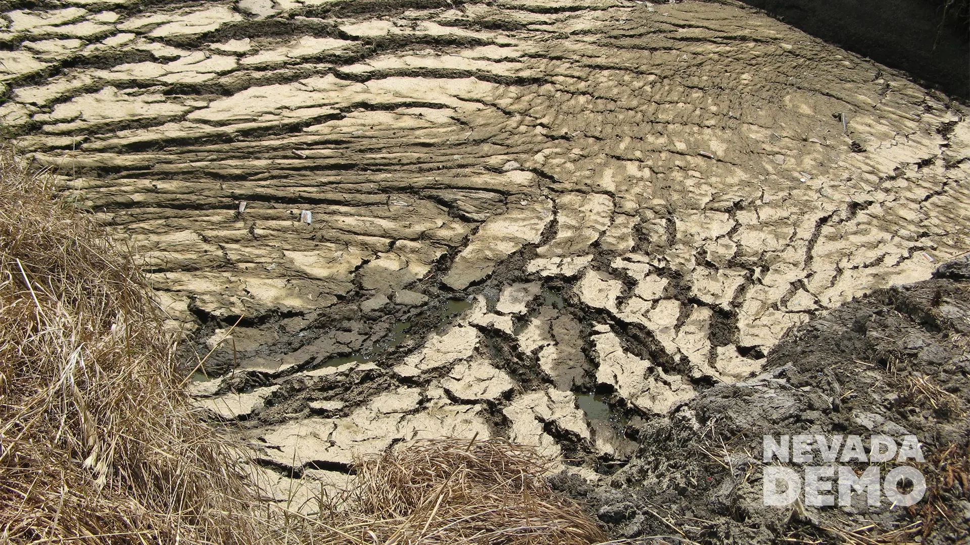 Nevada Stirrer Demolishes Pond Crust