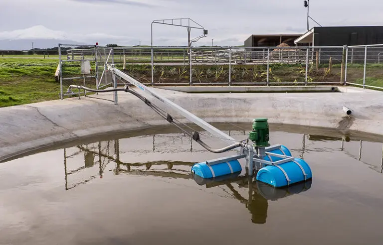 Nevada Pondboom in concrete dish
