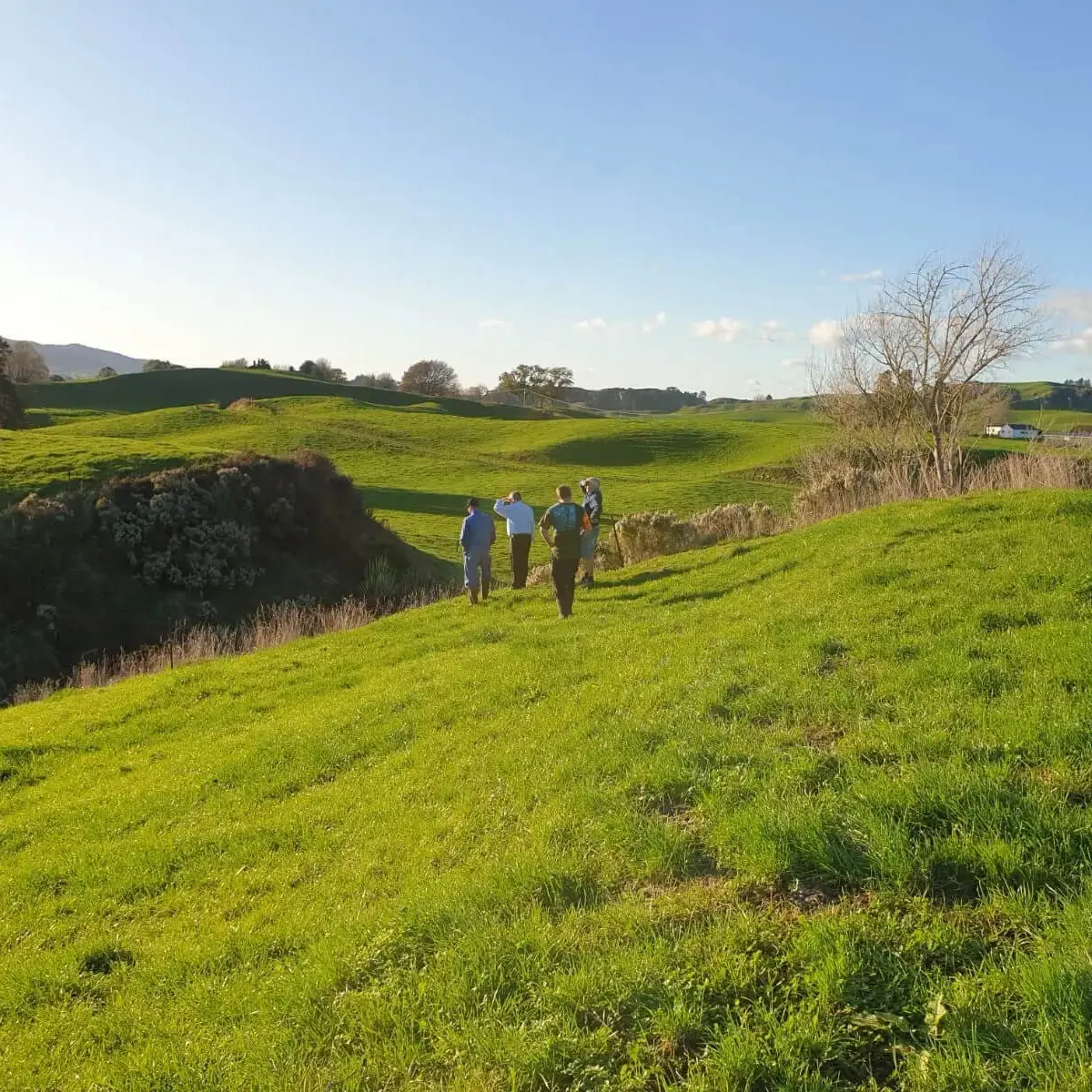 Nevada effluent management planning