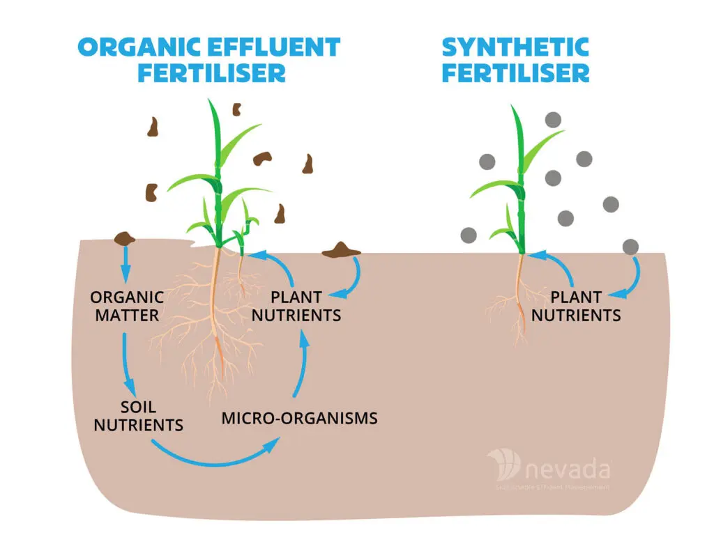 6 Ways You can Make Higher Returns with Your Farm Dairy Effluent 6 Organic v Synthetic Fertiliser