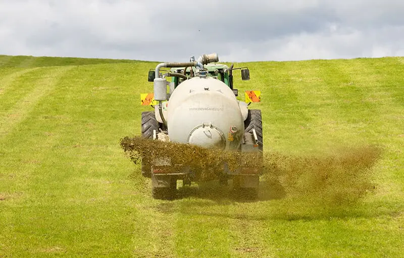 Nevada Thumbnail RainWave 1