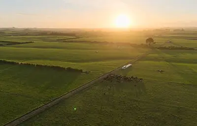 Nevada Videos Thumbnail 1