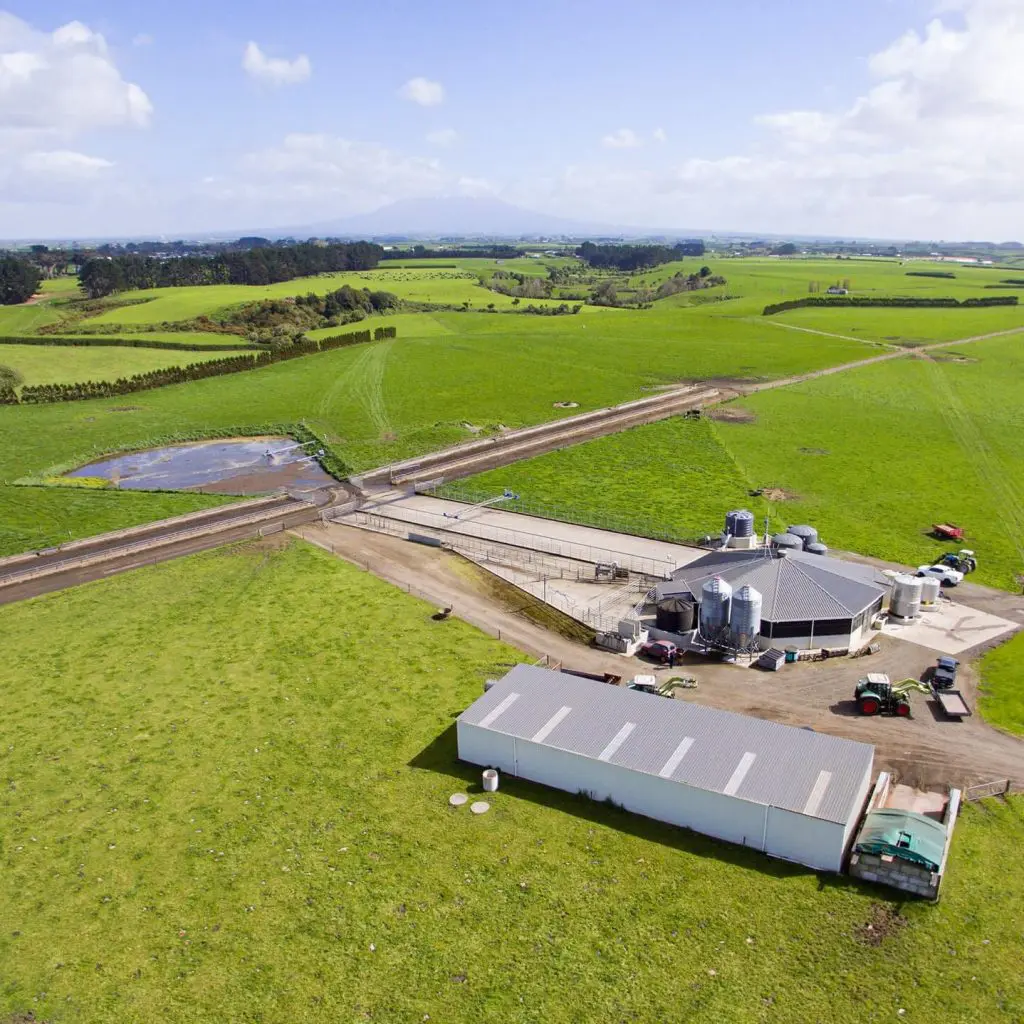 Managing Feed Pad Effluent 2 Effluent Management System: How Cameron Future-Proofed His Farm