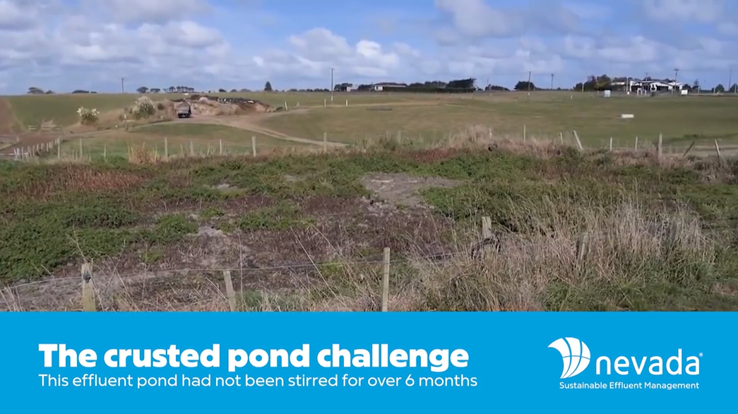 Nevada Crusted Pond Challenge