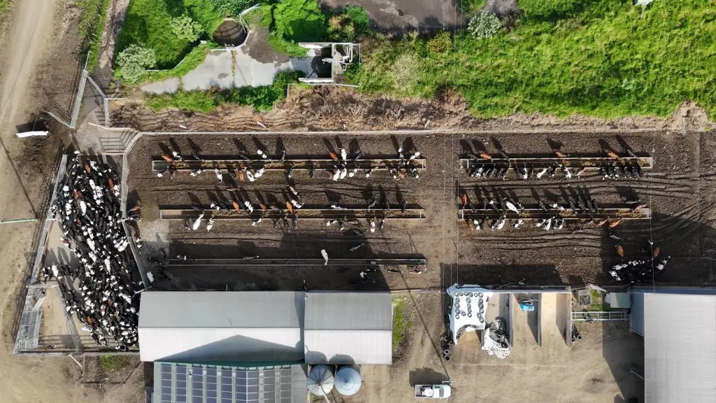 Raining Nutrients with a SlurryTanker 4 Feeding pad