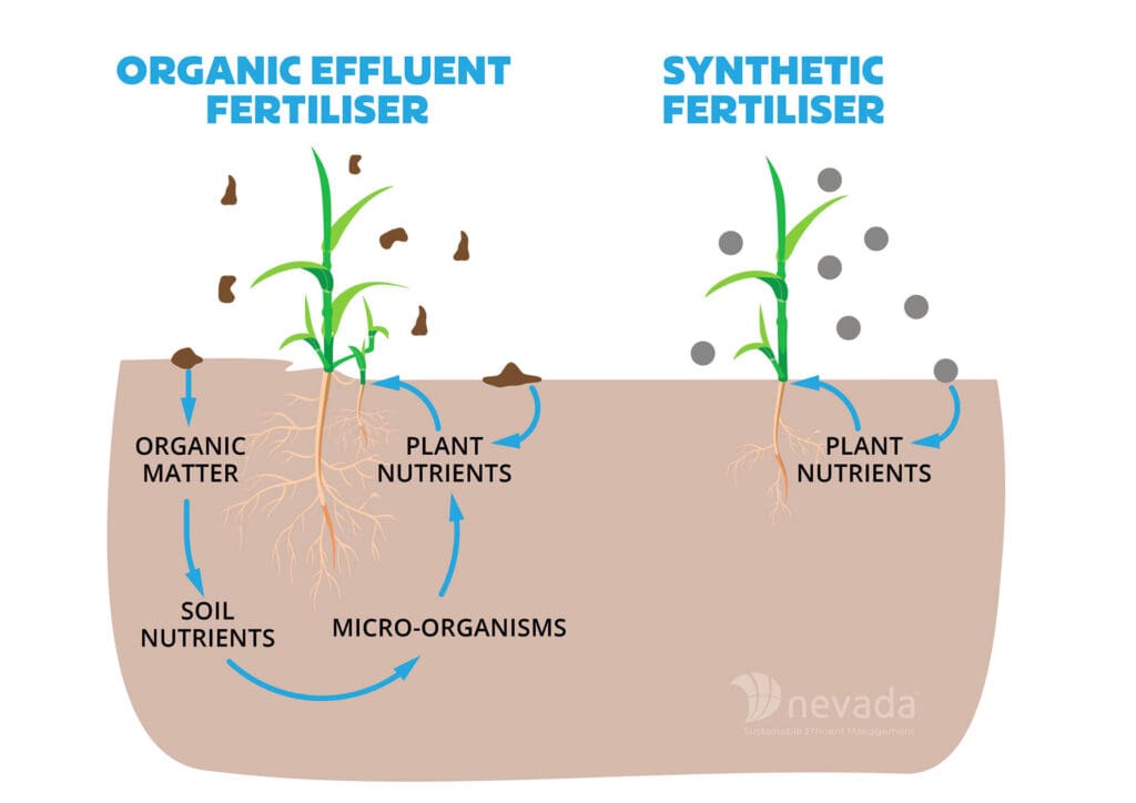 How Do I Get the Most Value Out of My Dairy Effluent? 3 Organic v Synthetic Fertiliser