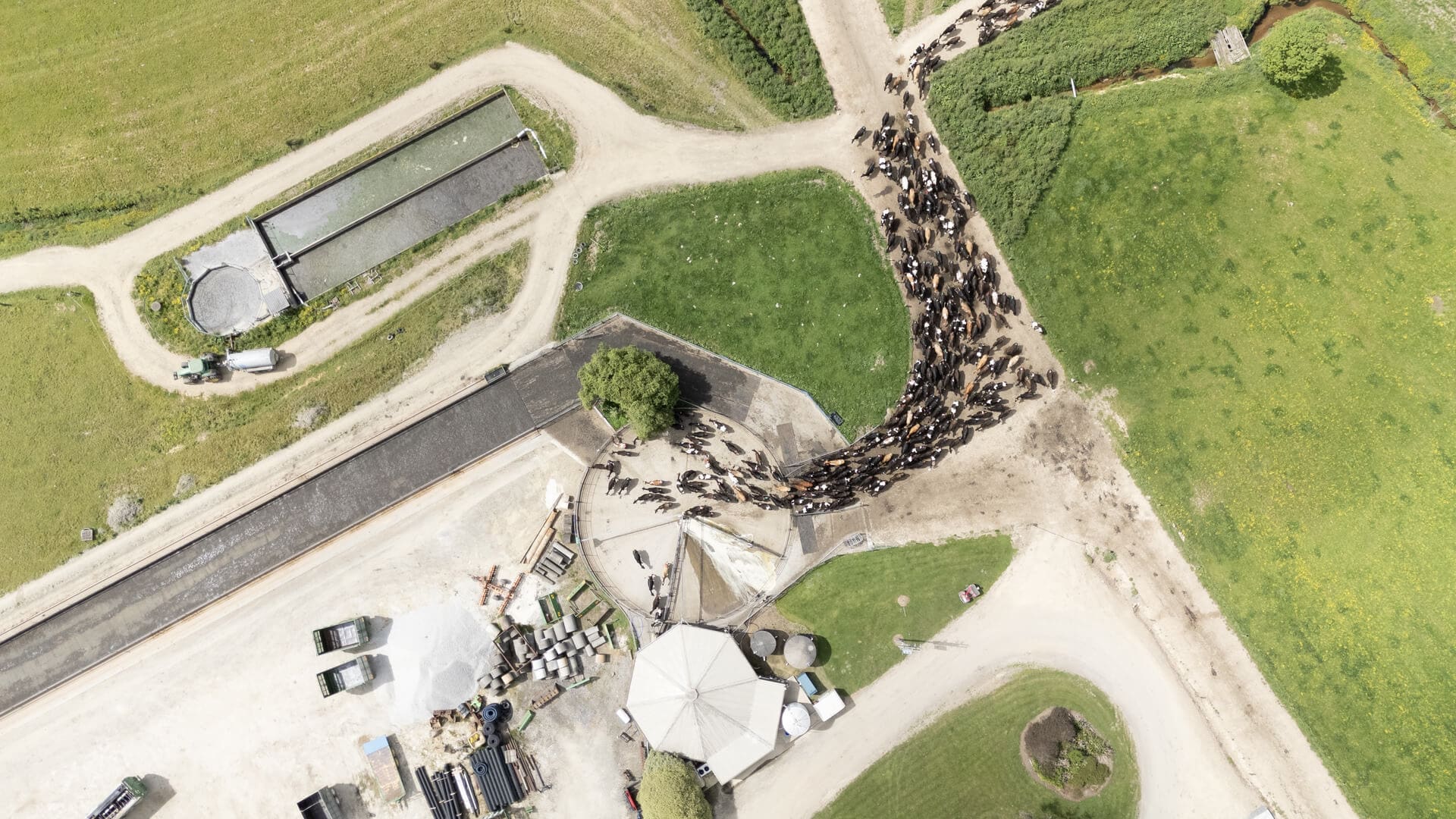 New Zelaand dairy shed from the air