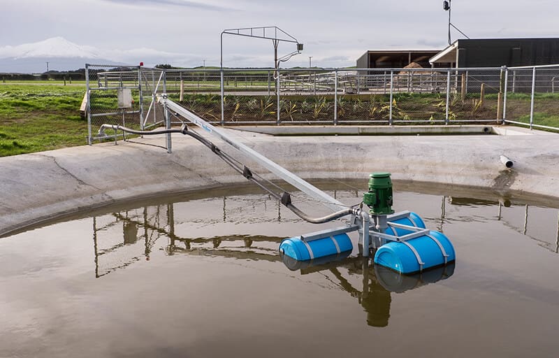 Nevada Pondboom in concrete dish