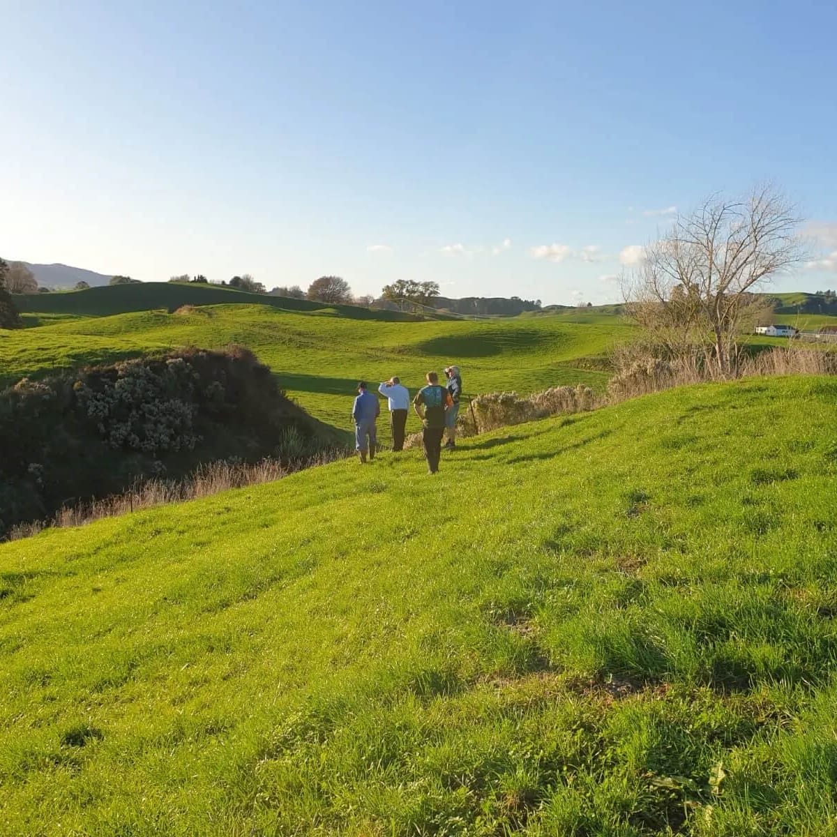 Nevada effluent management planning