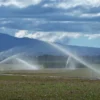 Nevada Fertigator spreading effluent in a paddock